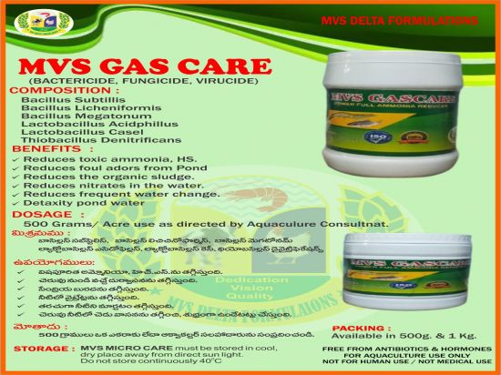 MVS Gas Care 500 Gm